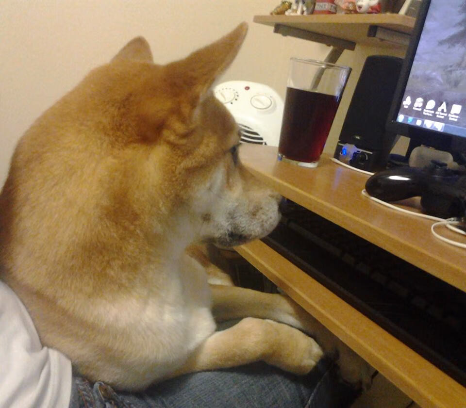 “中超联赛第十轮精彩回顾:豪门再次展现统治力”,中超第十轮对阵