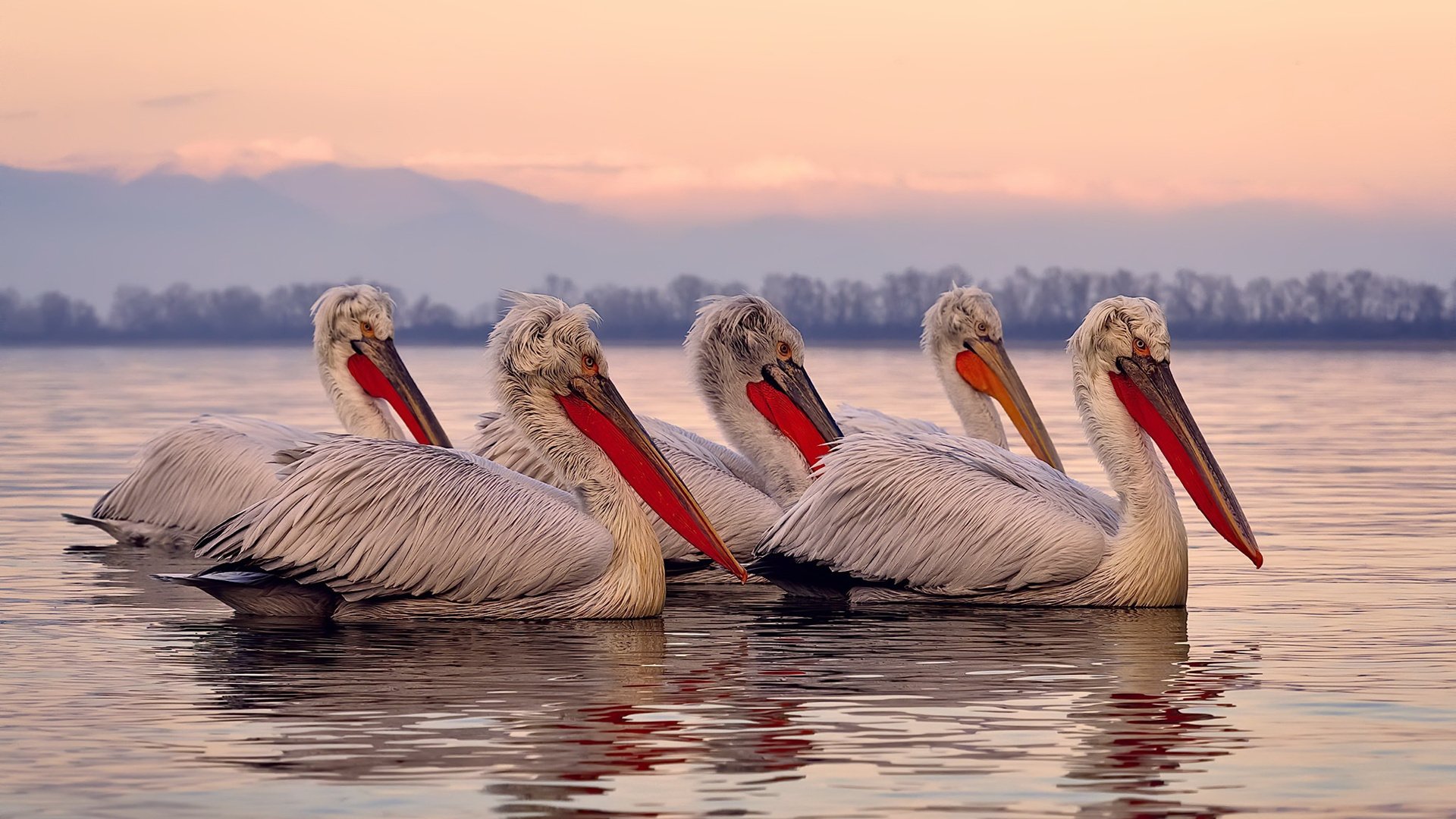 “足球公益项目助推乡村足球，普及全民运动”，农村足球比赛