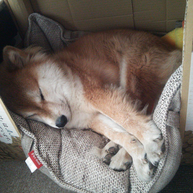 令人瞩目的新型刹车系统亮相赛场，国内刹车系统