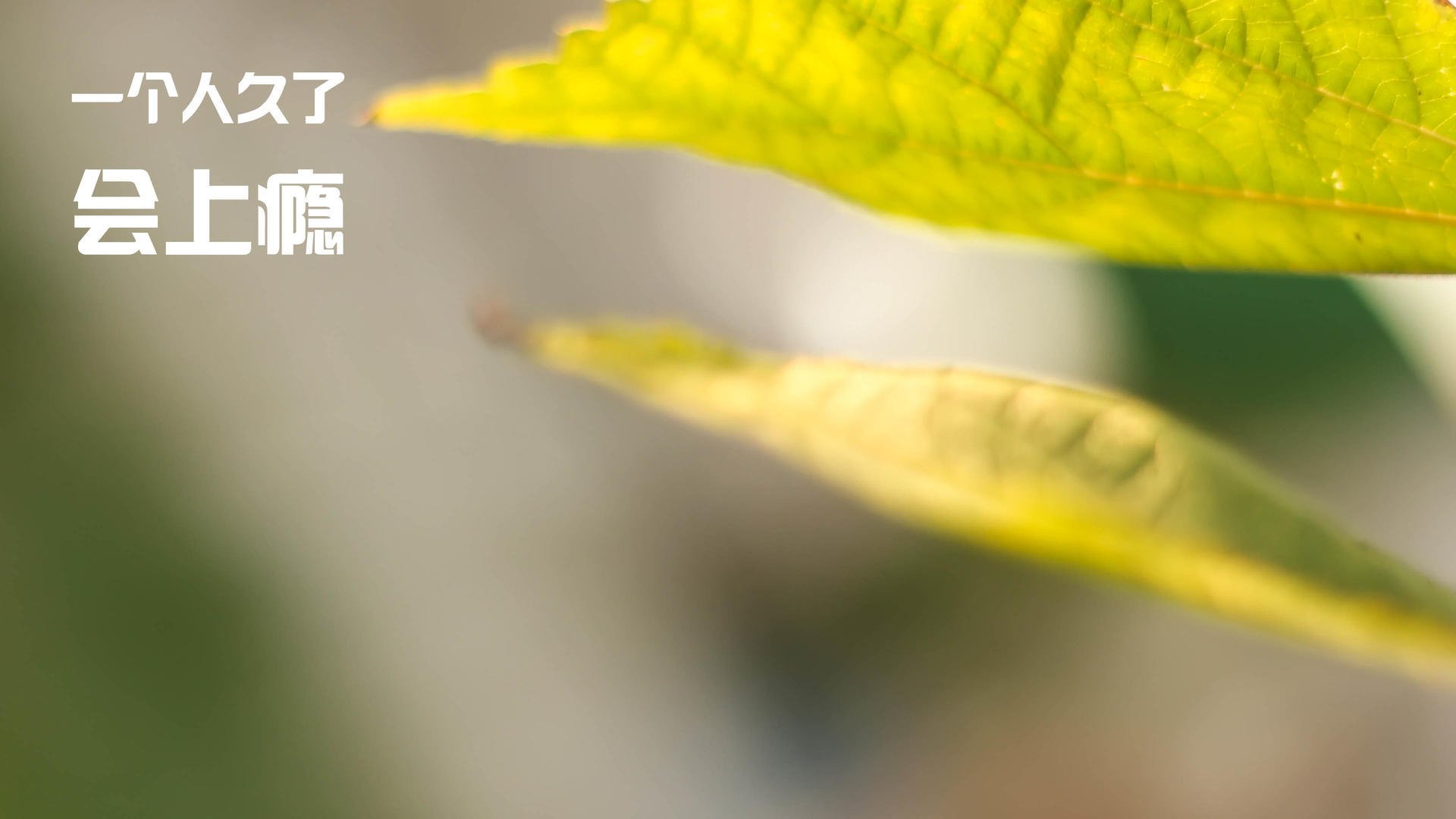 少年篮球“掌上赛场”APP上线，线上线下融合推广青训，青少年篮球比赛报名app