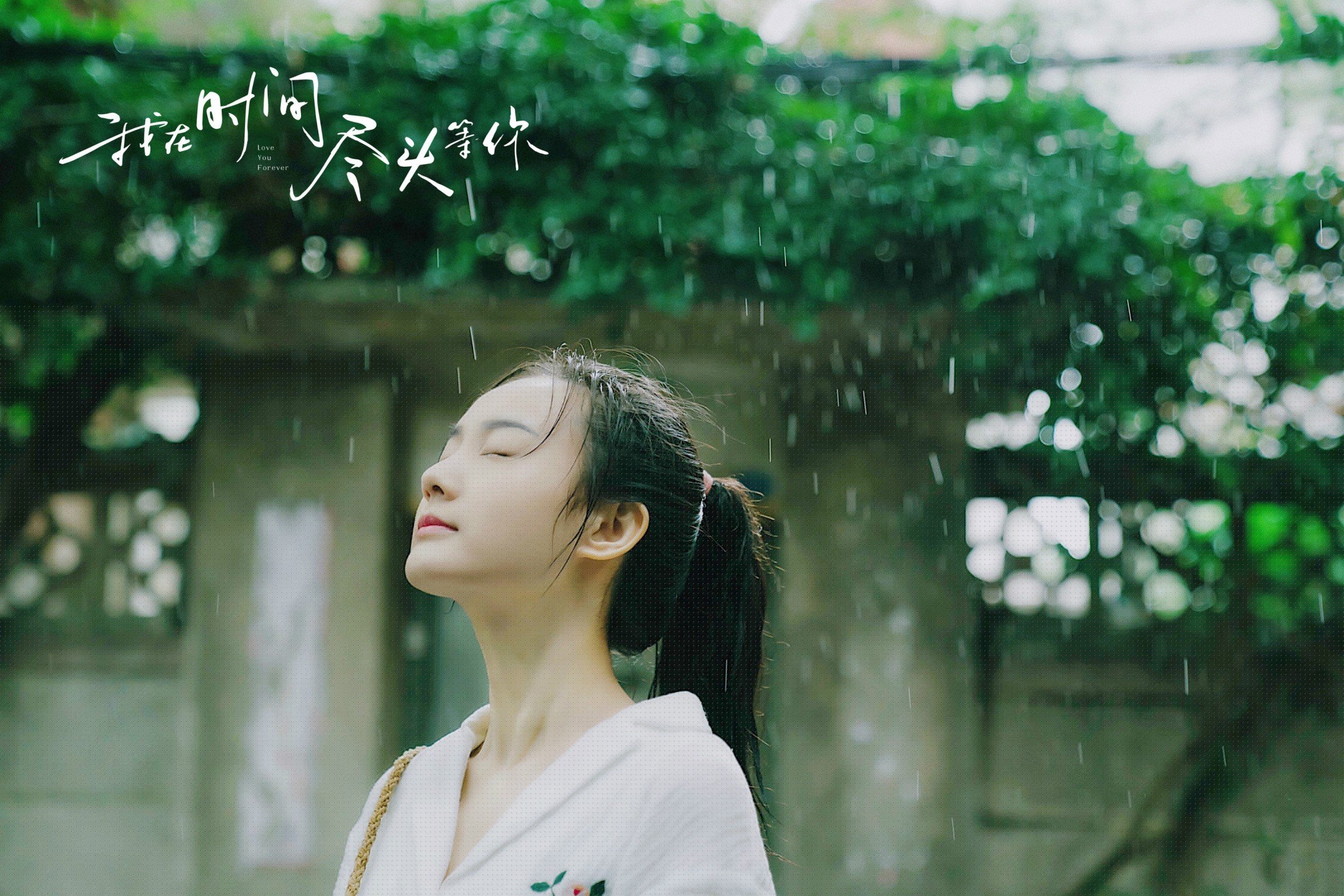 篮球场馆综合服务能力持续提升，篮球场馆综合服务能力持续提升的原因