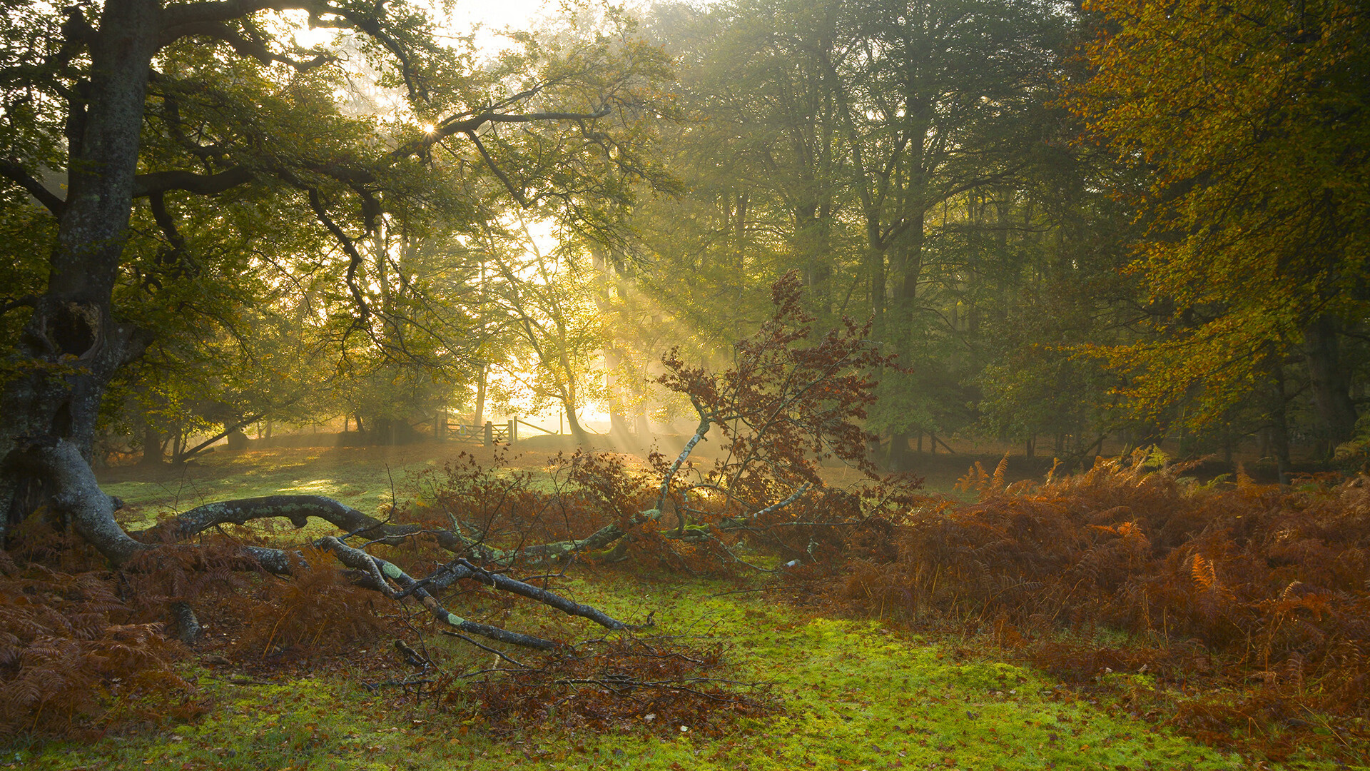 篮球场馆建设标准化推进地方体育发展，篮球运动场馆