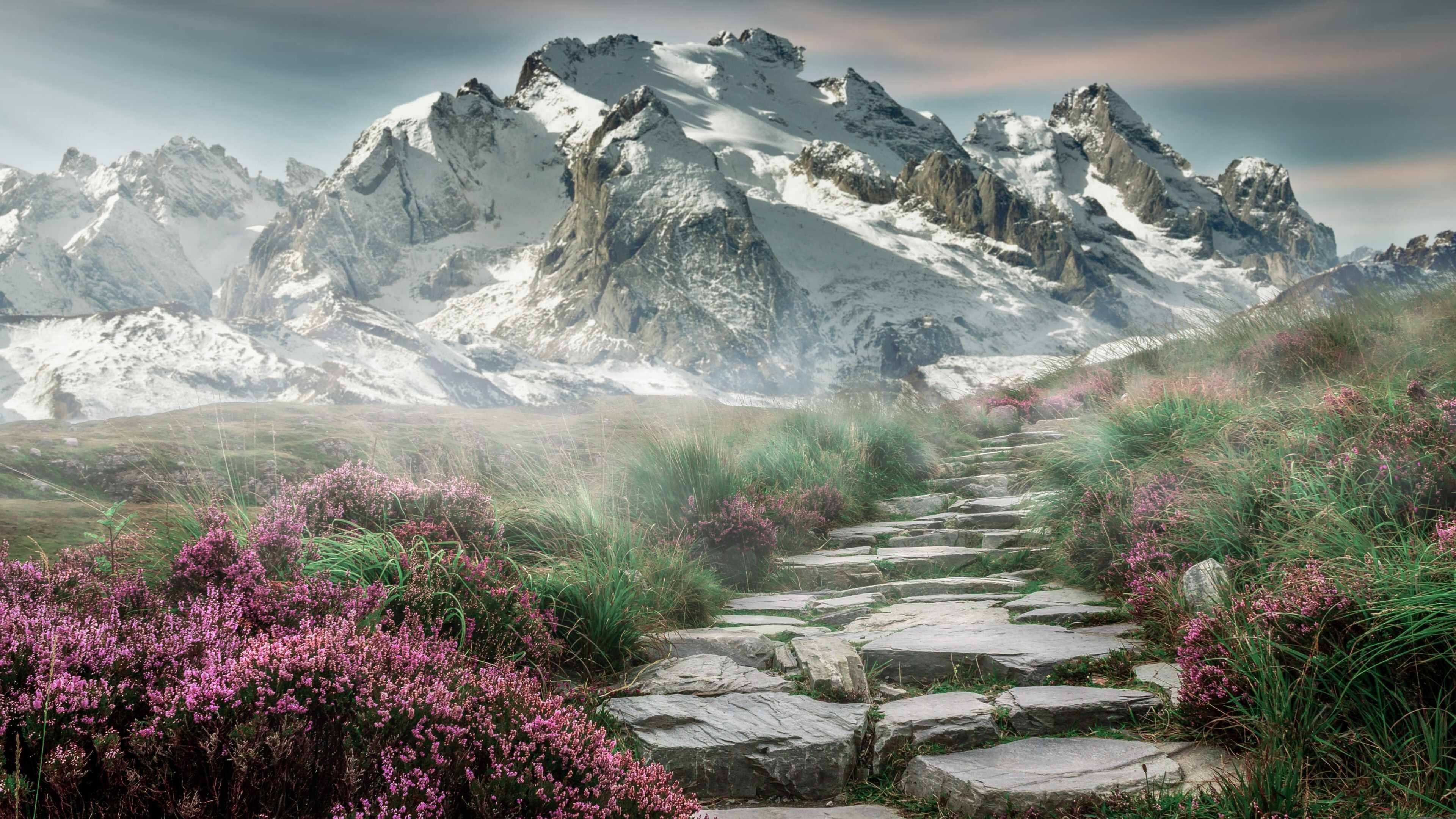 女足世界杯媒体采访精彩瞬间，女足世界杯受追捧