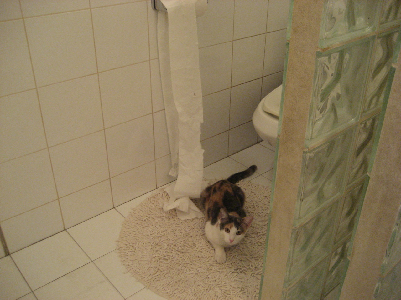 捷克获得宝贵积分,晋级欧洲杯前景看好,捷克欧洲杯晋级之路