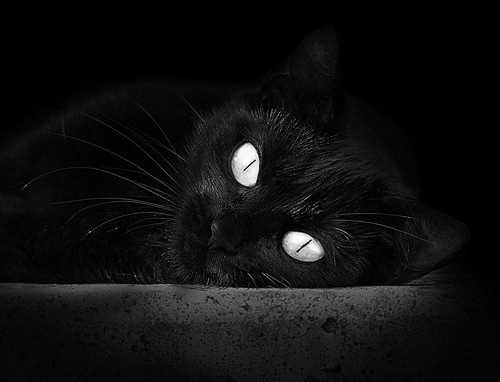 摩洛哥队在巴黎奥运会男足比赛中表现出色，赢得铜牌，摩洛哥足球队成员