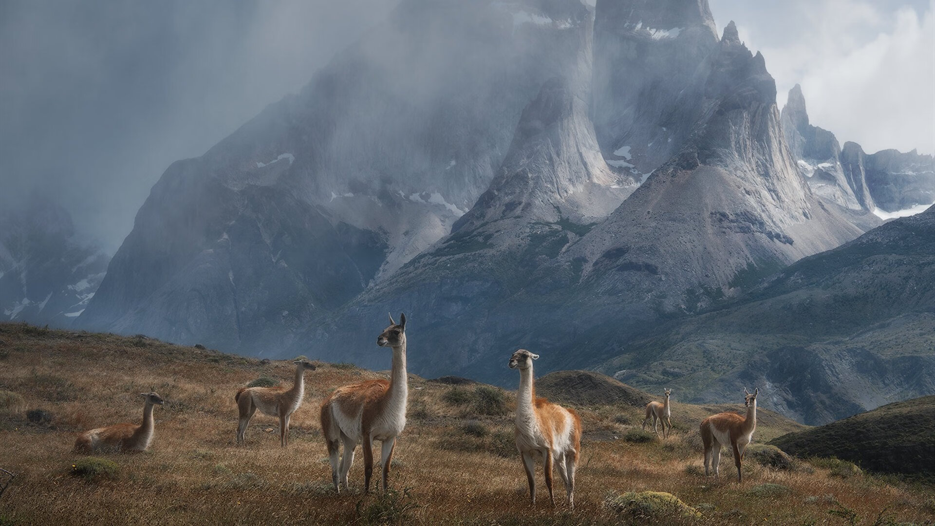 挪威队表现抢眼，实力暴露无遗，挪威球队介绍