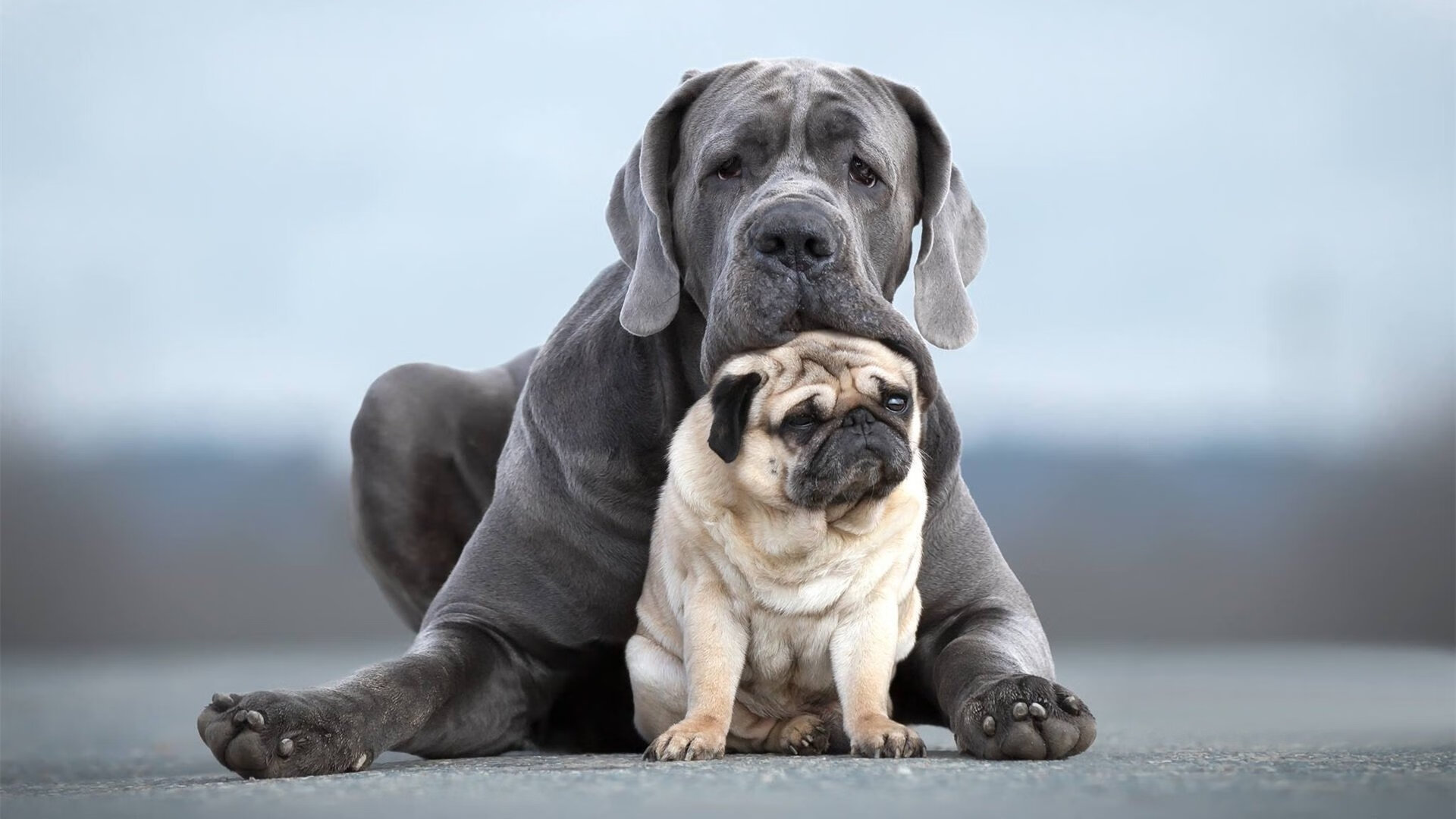 爱游戏在线登录入口-湖北队惜败长沙，遗憾止步季后赛，2021年湖北篮球联赛