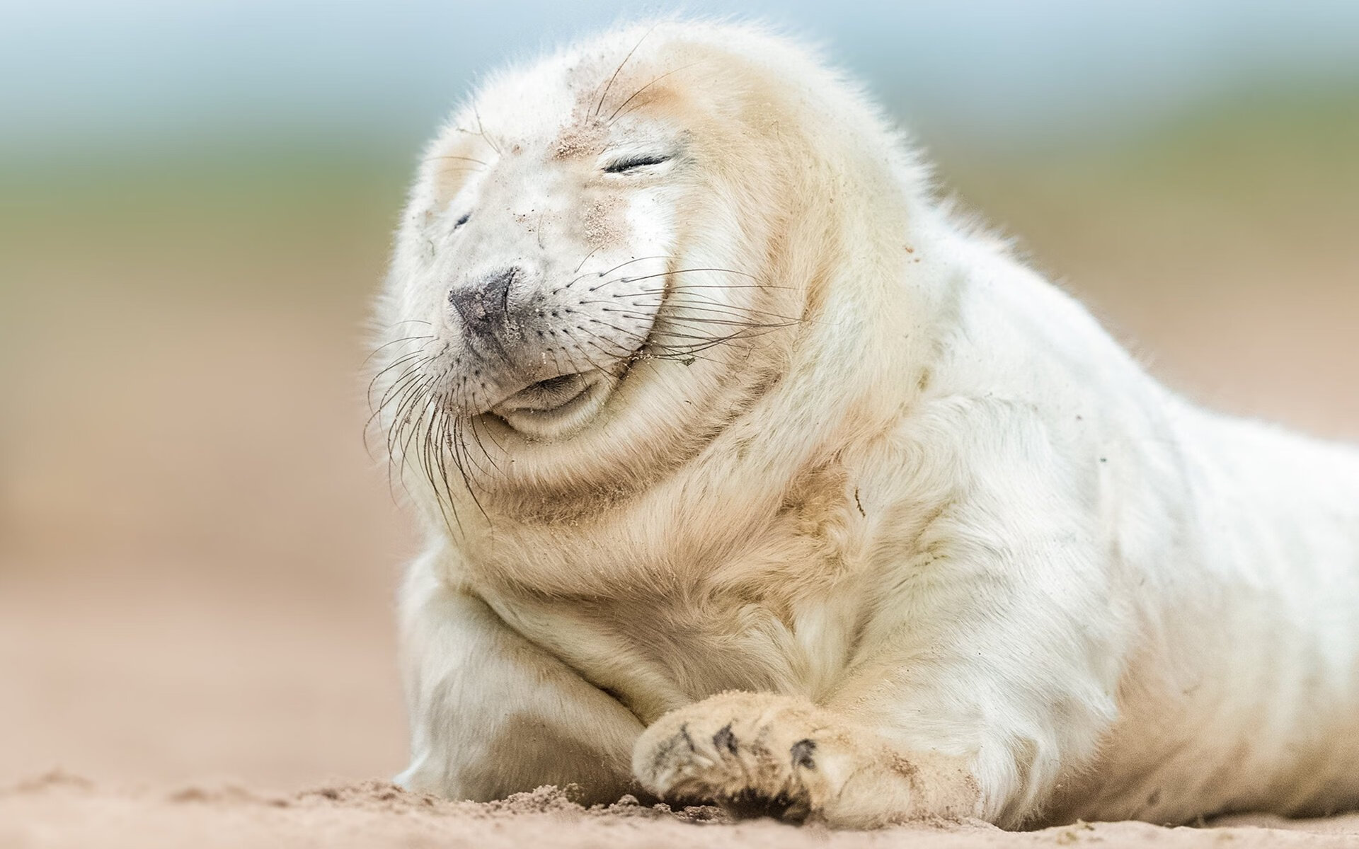 爱游戏体育-迪亚斯在欧冠对阵勒沃库森的比赛中梅开二度，迪亚斯 c罗