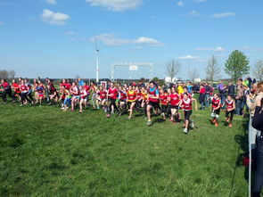 AYX SPORTS-中国篮球青少年篮球发展与体育政策关系研究，中国青少年篮球发展现状