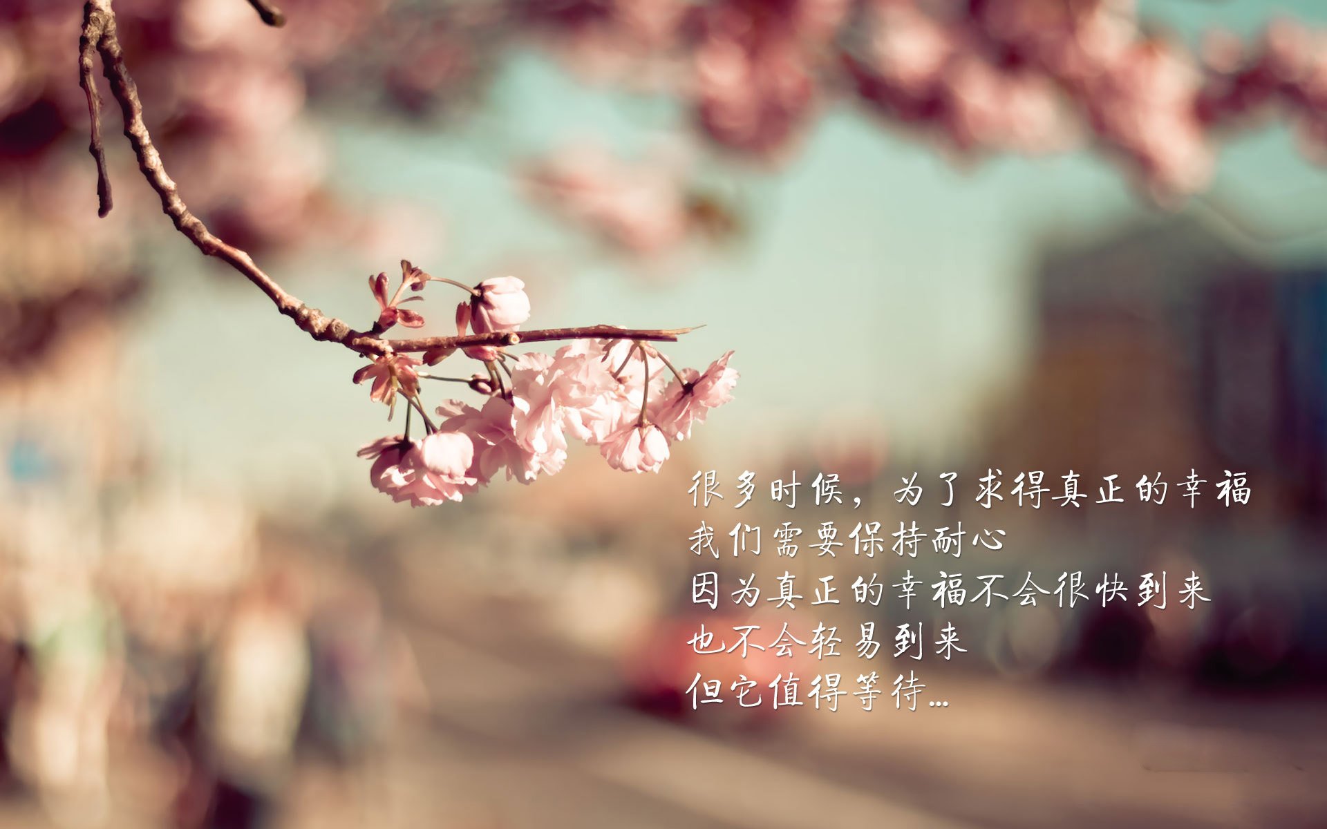 中国篮球青训教练员能力建设研究,全国篮球教练员岗位培训