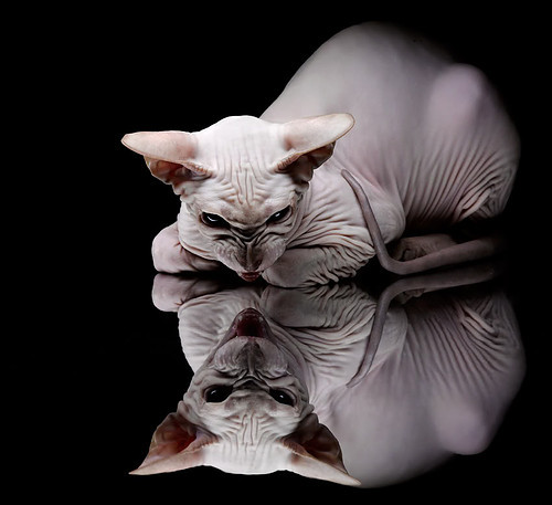 爱游戏app下载-新闻中心组织员工培训活动，开展新闻培训