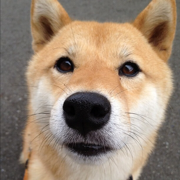 校园体育文化活动策划与实施研究,学校文化体育活动实施方案