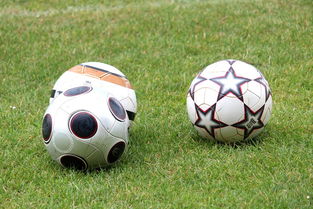 爱游戏娱乐网址-未来足球市场：数字资产与足球产业的融合，足球概念数字货币