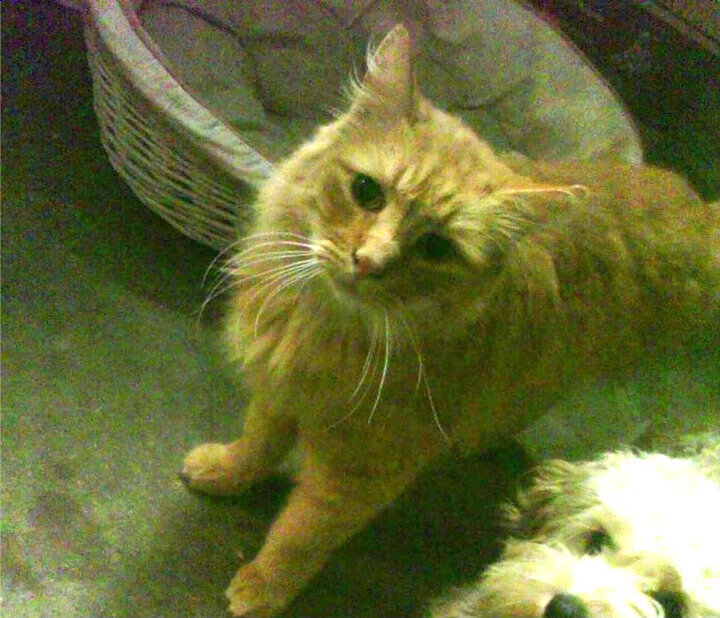 爱游戏体育app-运动产业链协同发展研究，运动产业链协同发展研究论文