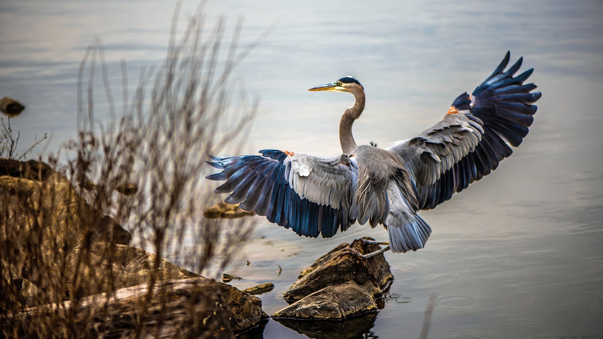主力阵容节奏风格是否决定轮换体系设定,主力节奏指标源码