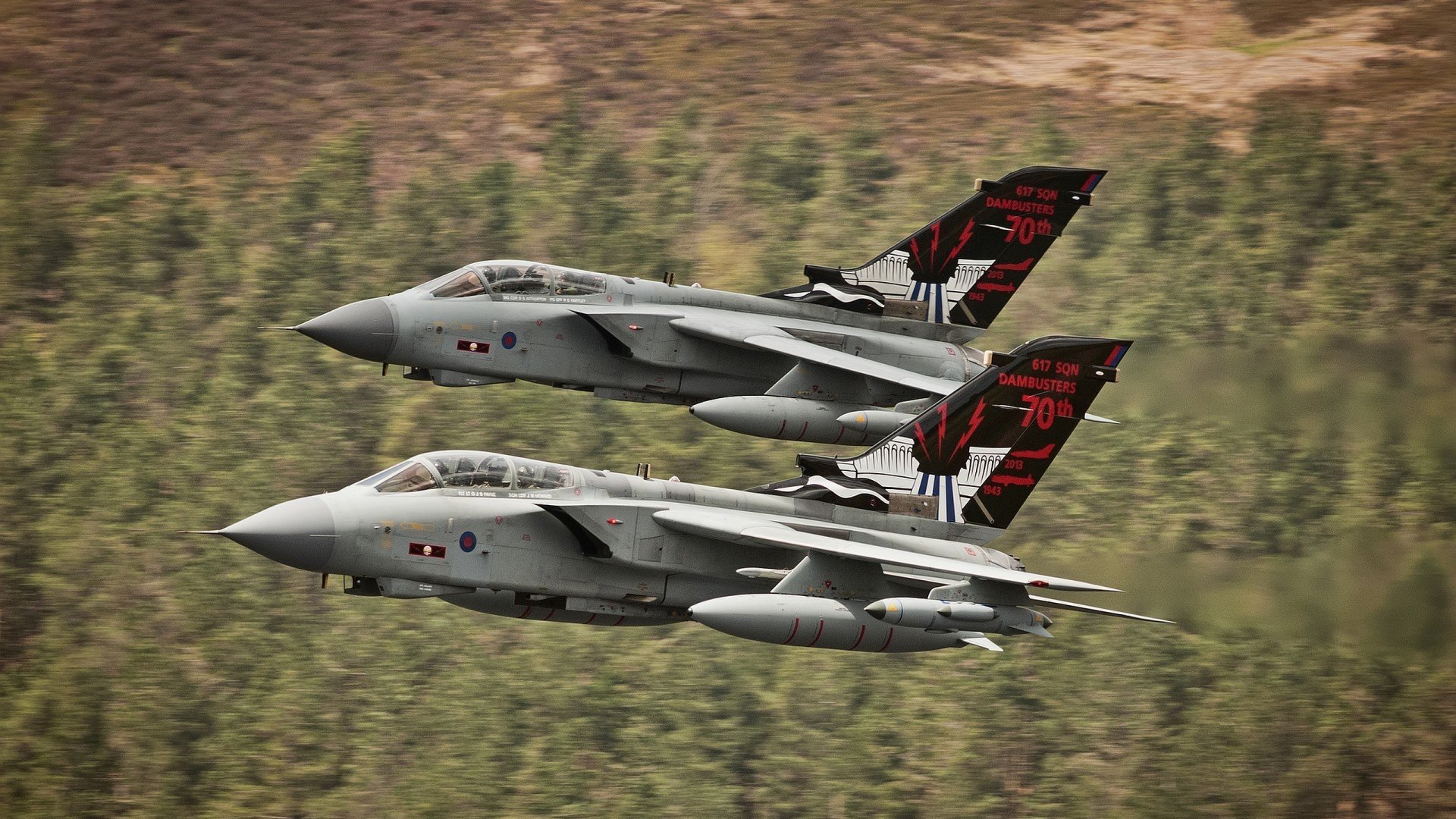 公牛加强对抗防守端动作更加果断,公牛防守悍将