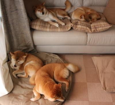 多位选手在自由式跳水项目突破个人最佳,自由跳是什么